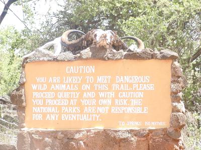 you have been warned!  the kenya wildlife service is not responsible if you 
are eaten by an irritable hippo