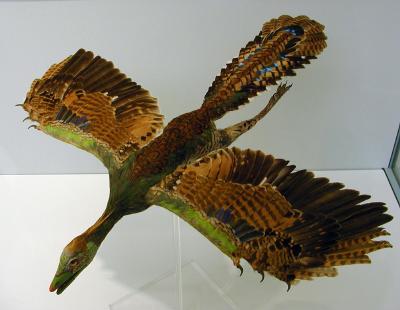 the reconstruction with today's bird feathers