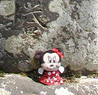 mystery mouse