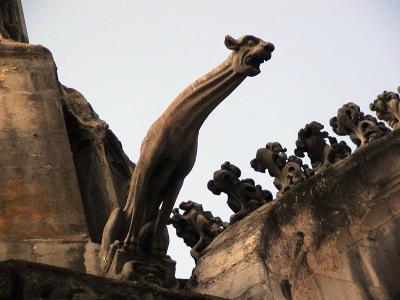 gargoyle, st. severin cathedral, paris