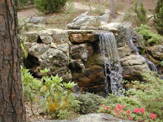 garvin woodland gardens in hot springs, arkansas
